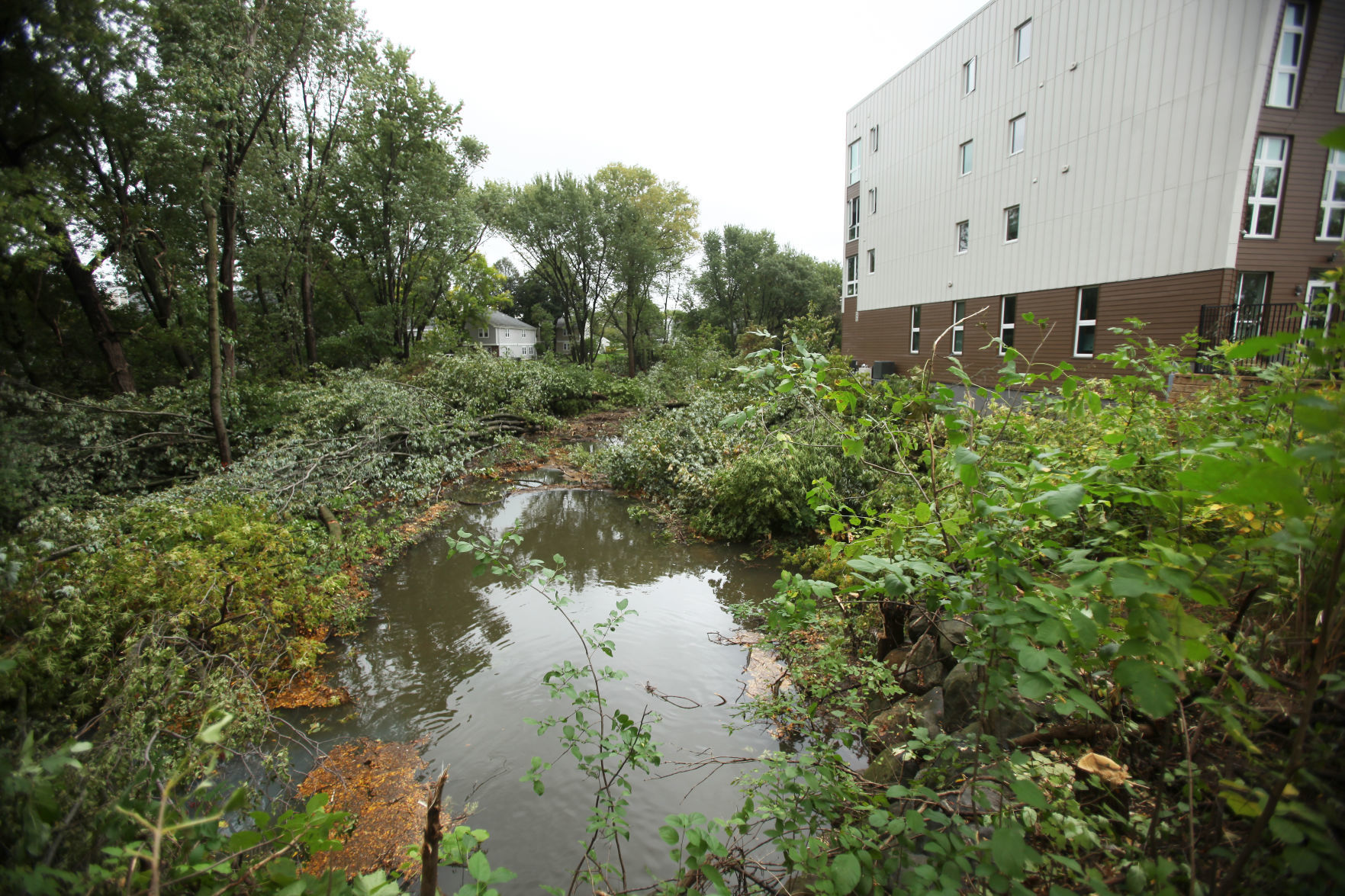 Channel, behind Tree Lane apartments